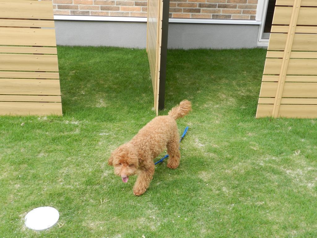 乡村民宿 善き羊飼いの舎 *